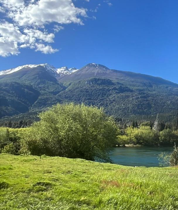 Photo of Others in Los Alerces National Park