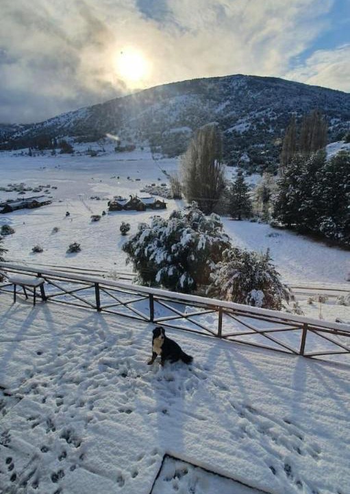 Photo of Others in San Martin de los Andes