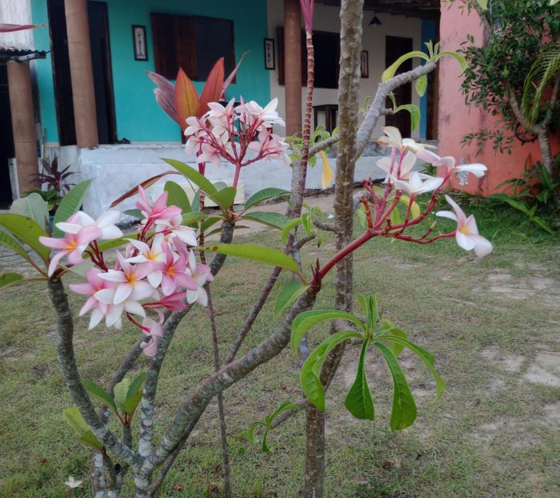 Photo of Others in Massarandupio