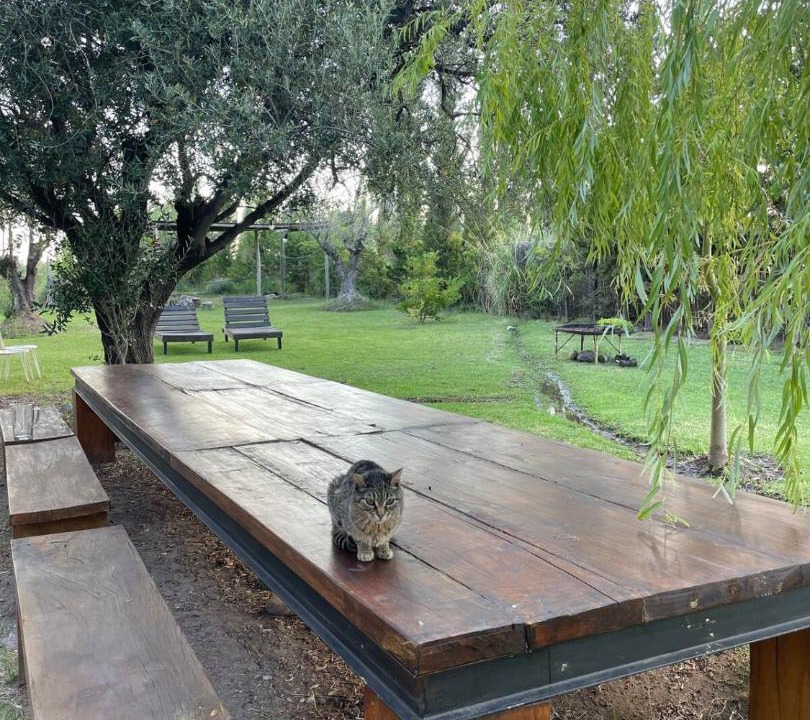 Photo of Outdoor in Lujan de Cuyo