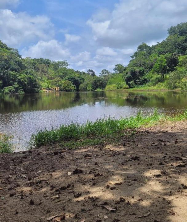 Photo of Others in Bonito