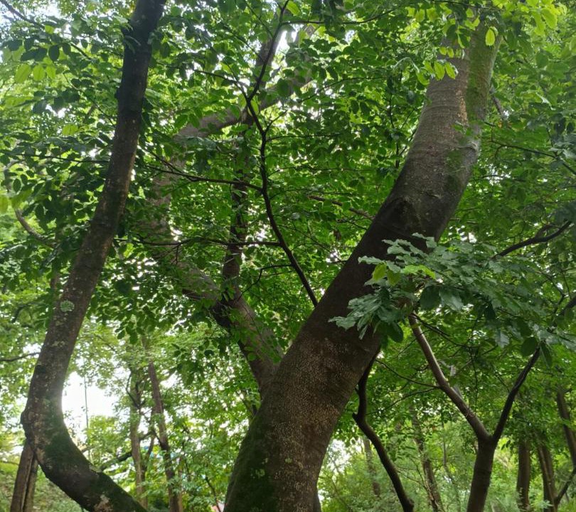 Photo of Outdoor in Sao Paulo