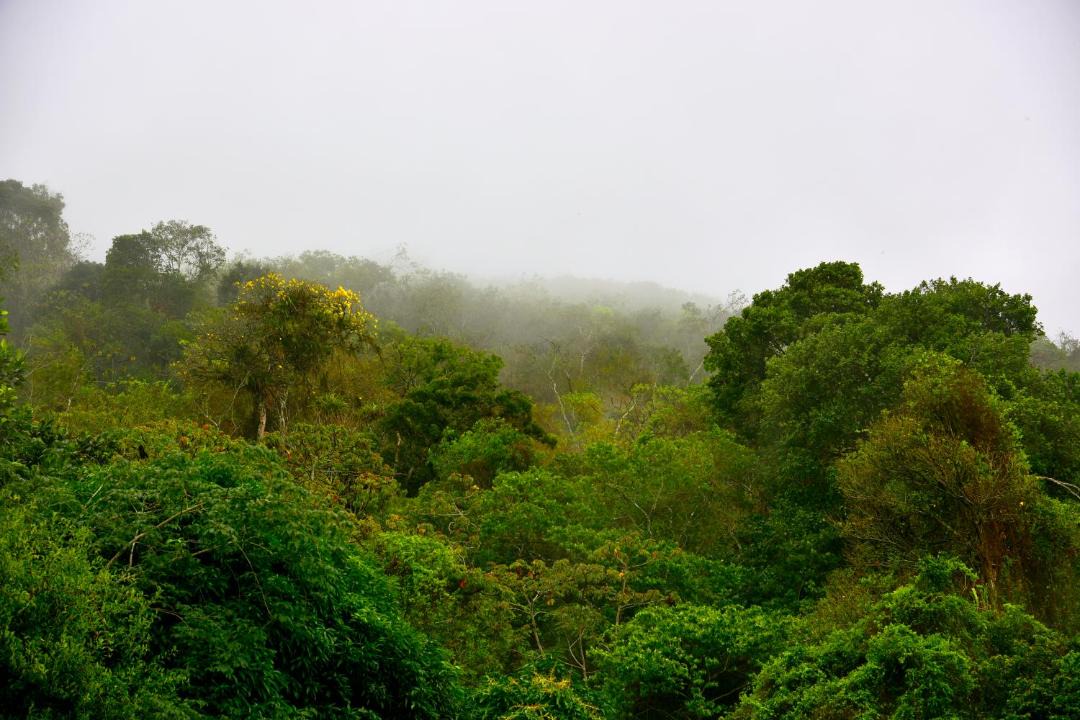 Photo of Others in Pacoti