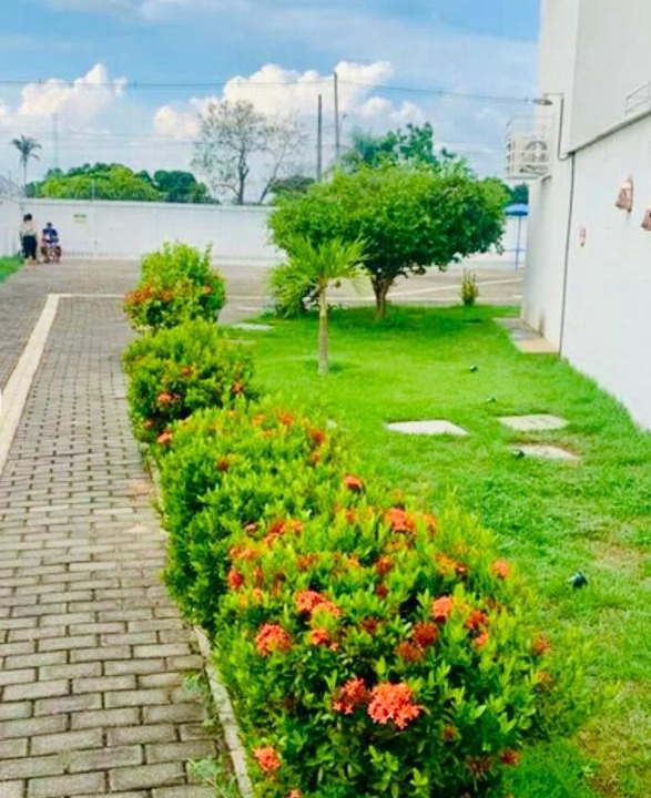 Photo of Others in Teresina