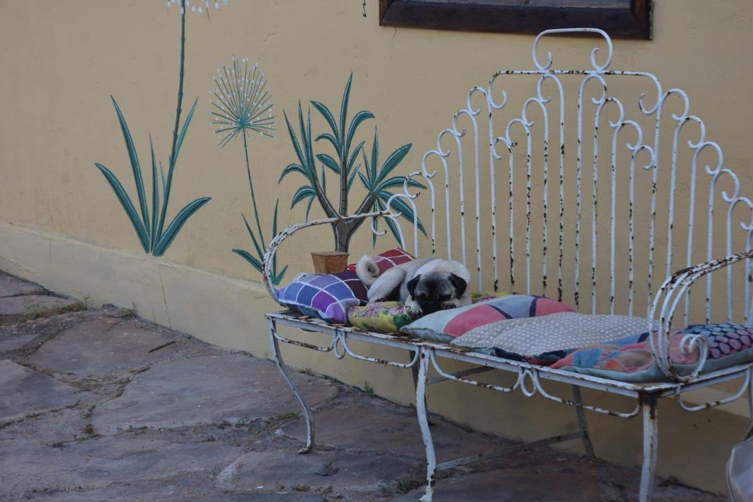 Photo of Others in Sao Goncalo do Rio das Pedras