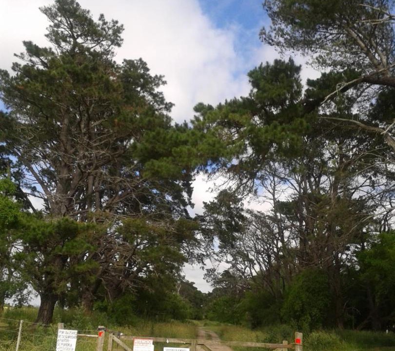 Photo of Others in Chascomus