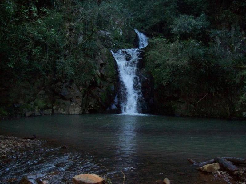 Photo of Others in Paraiso do Sul