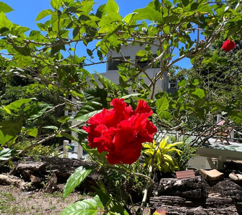 Photo of Outdoor in Ilha de Boipeba