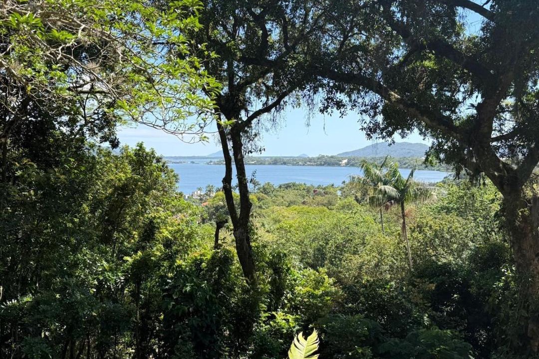Photo of Others in Porto da Lagoa