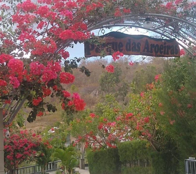 Photo of Others in Cerro Cora