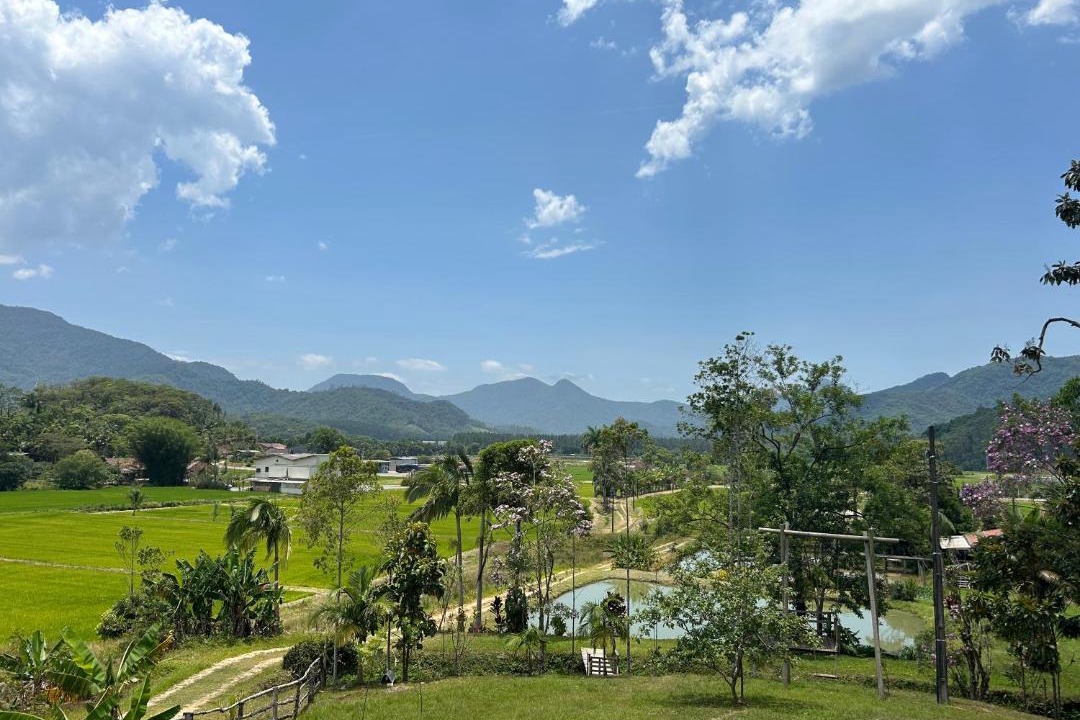 Photo of Others in Braco do Sul