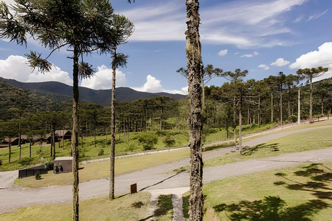 Photo of Others in Urubici