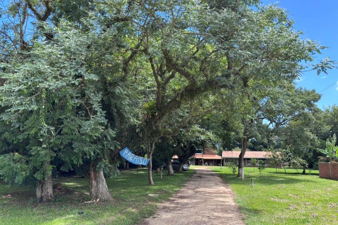 Photo of Others in Campina do Monte Alegre
