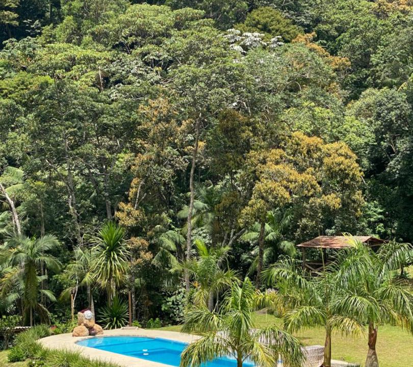Photo of Others in Caparao National Park