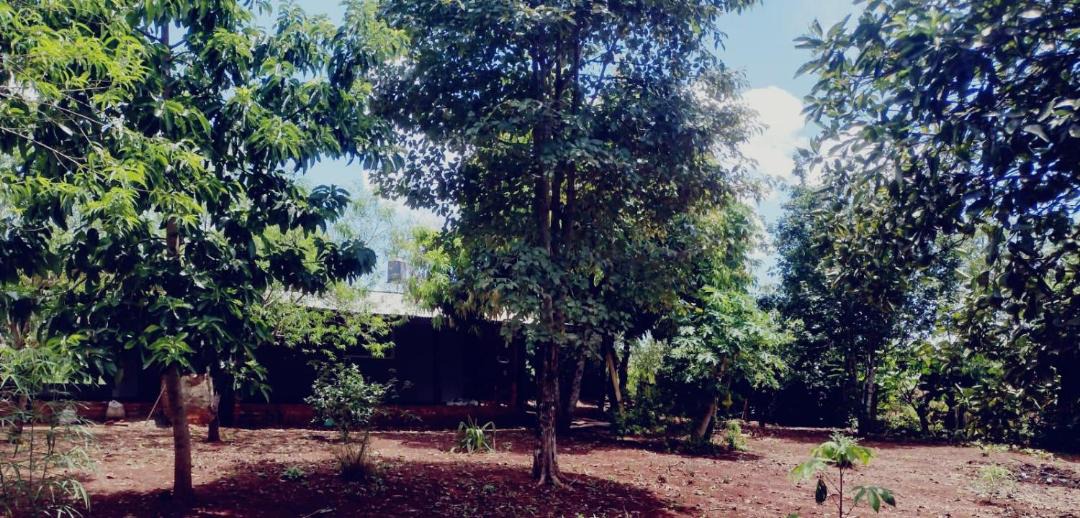 Photo of Outdoor in El Alcazar