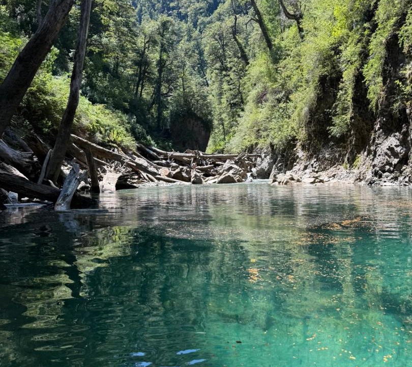 Photo of Others in Los Alerces National Park