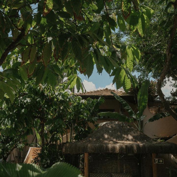 Photo of Others in Historic Center