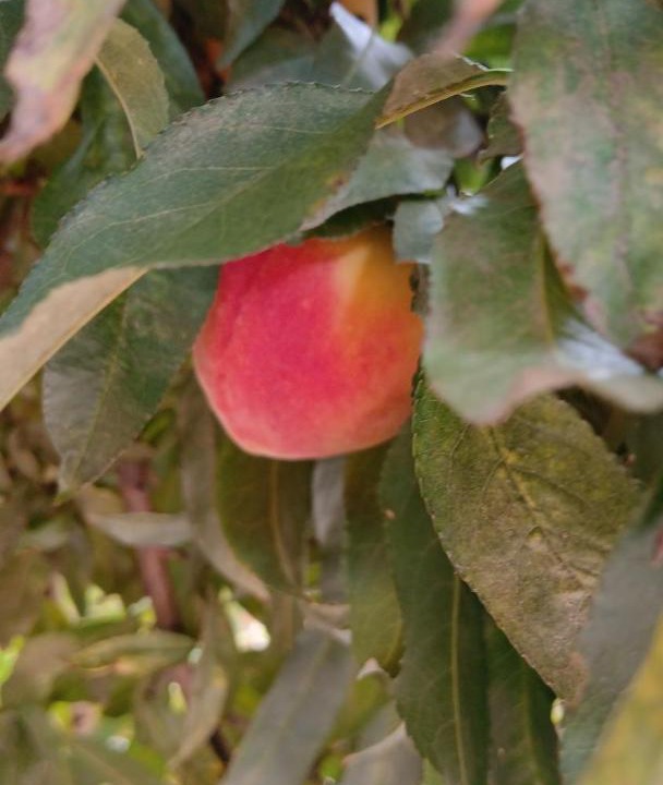 Photo of Outdoor in Huacalera