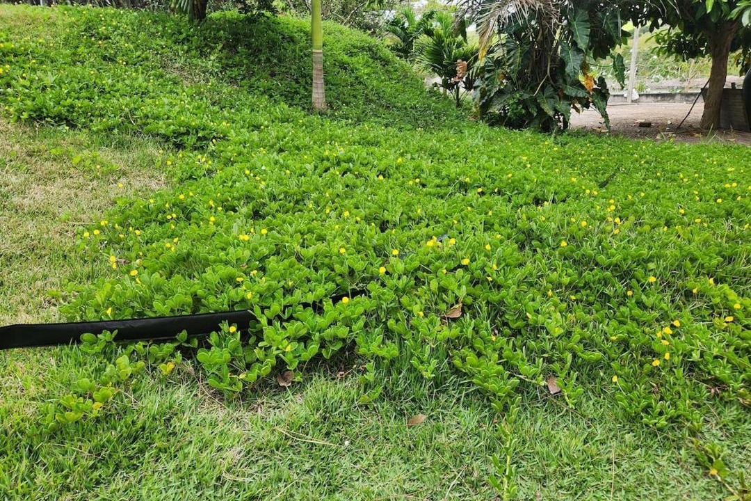 Photo of Outdoor in Sao Sebastiao