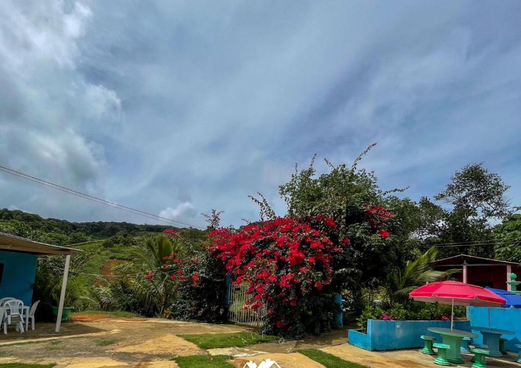 Photo of Others in Bonito