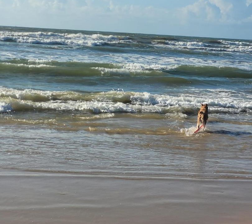 Photo of Others in Aruana