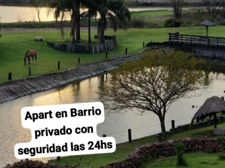 Photo of Others in San Pedro