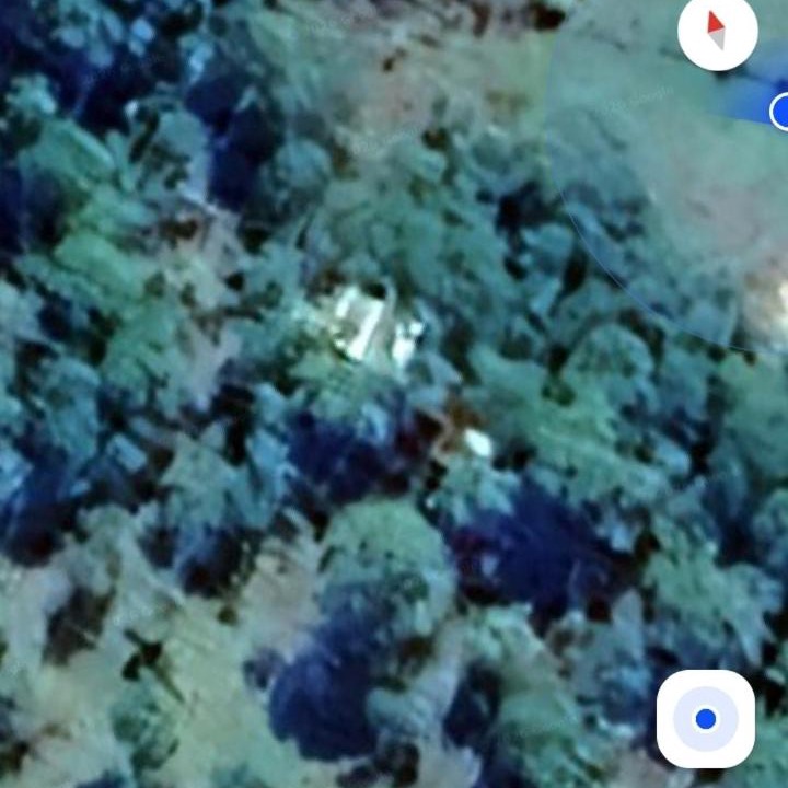 Photo of Others in Profundidad