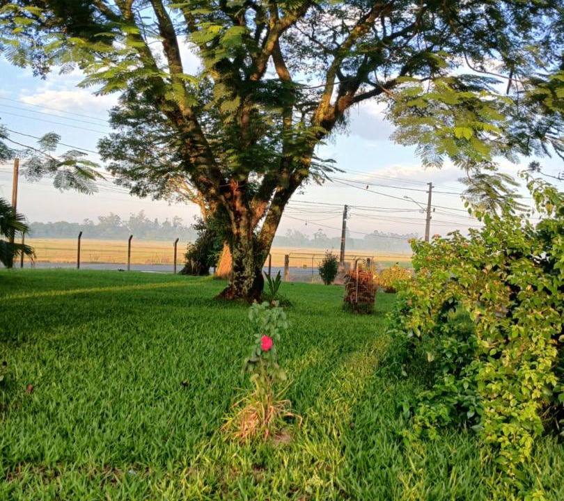Photo of Others in Forquilhinha