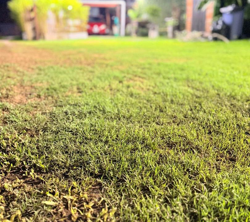 Photo of Outdoor in Villa Elisa
