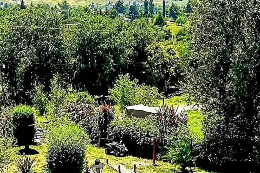 Photo of Others in Potrero de Garay