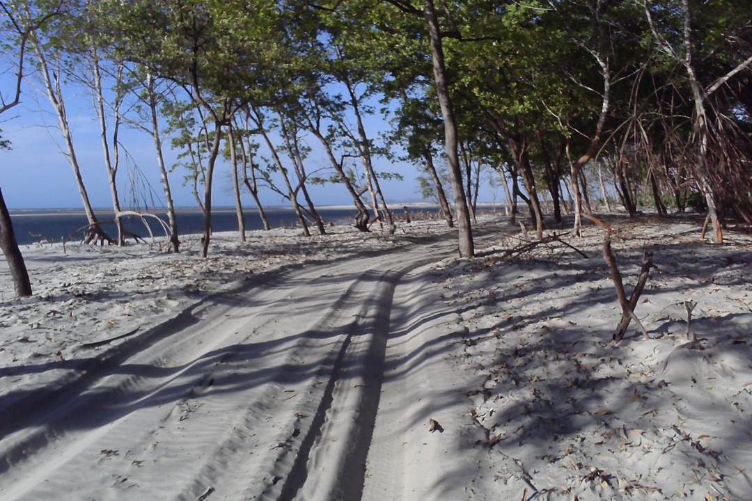 Photo of Others in Jijoca de Jericoacoara