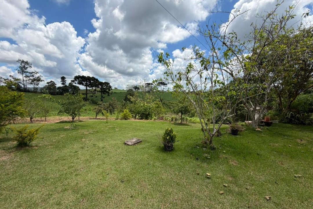 Photo of Others in Guapiara