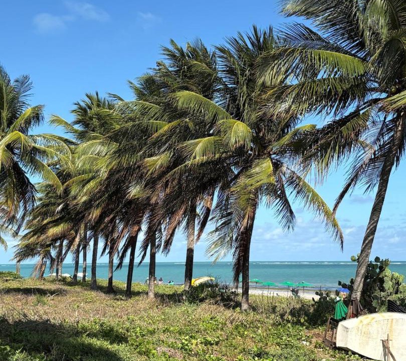 Photo of Others in Ponta de Campina