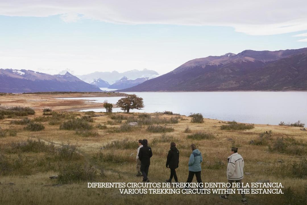 Photo of Others in Perito Moreno