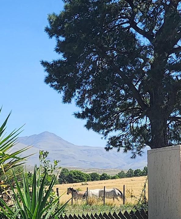 Photo of Others in Sierra de la Ventana