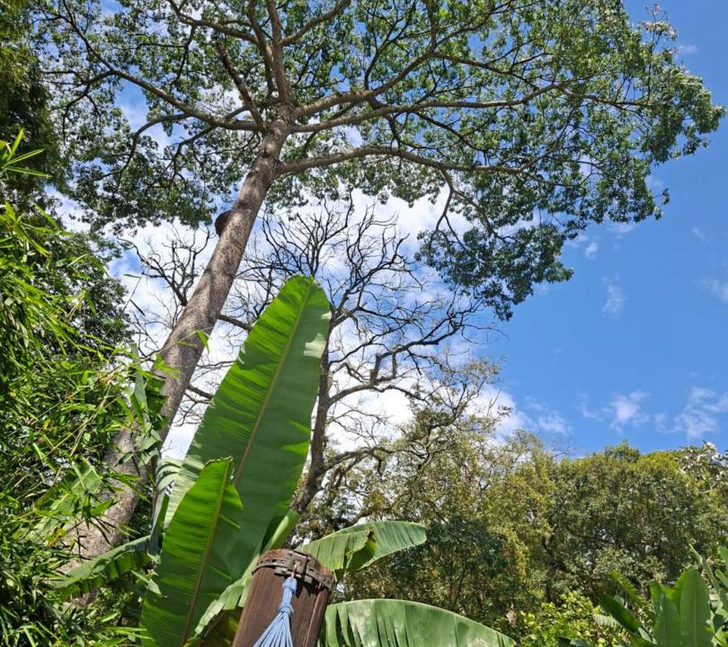 Photo of Others in Capelinha