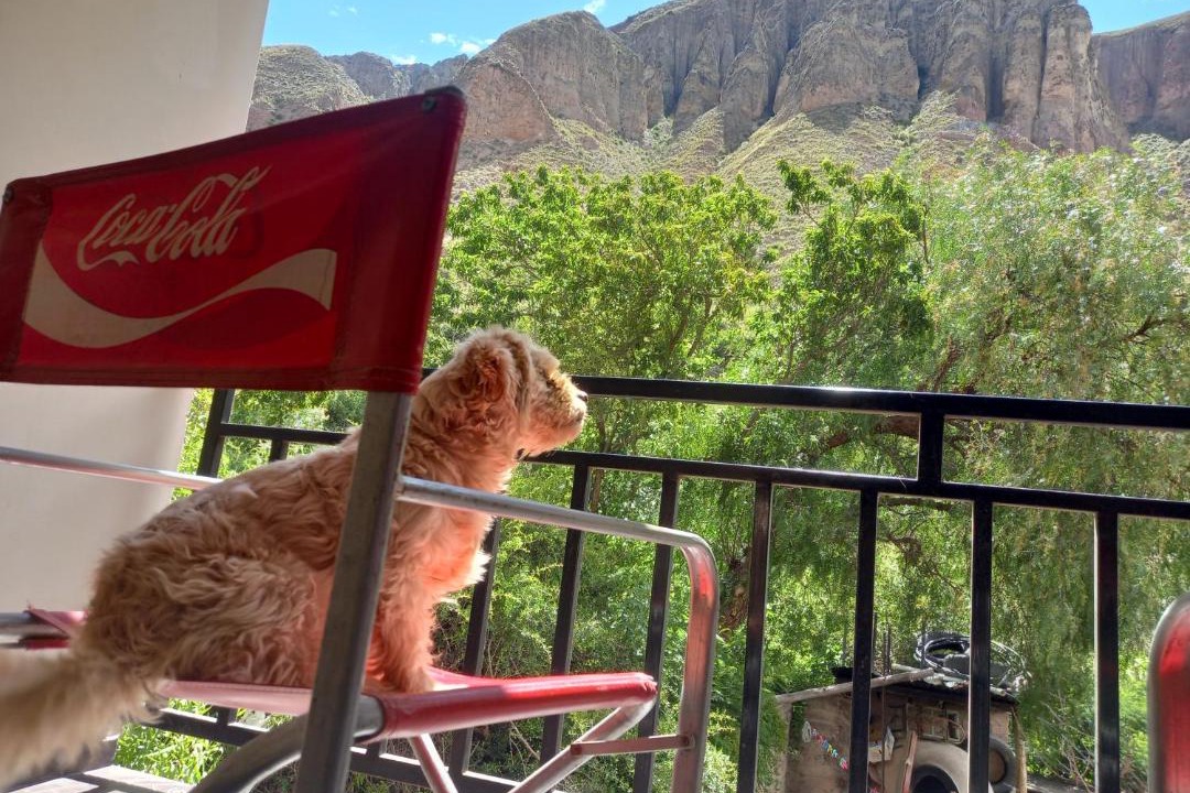 Photo of Patio Balcony in Iruya