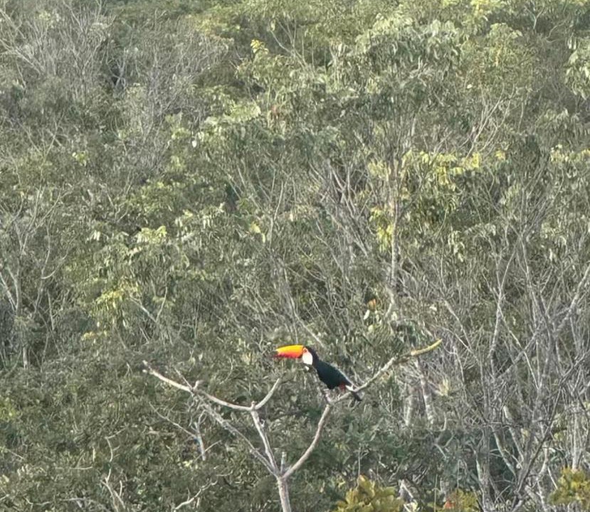 Photo of Others in Pirenopolis