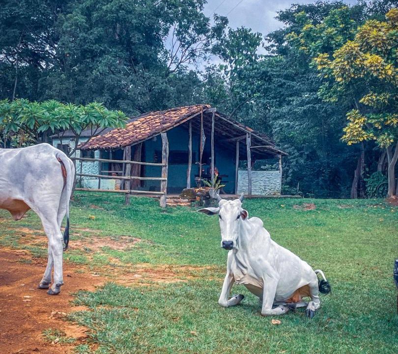 Photo of Others in Sao Domingos