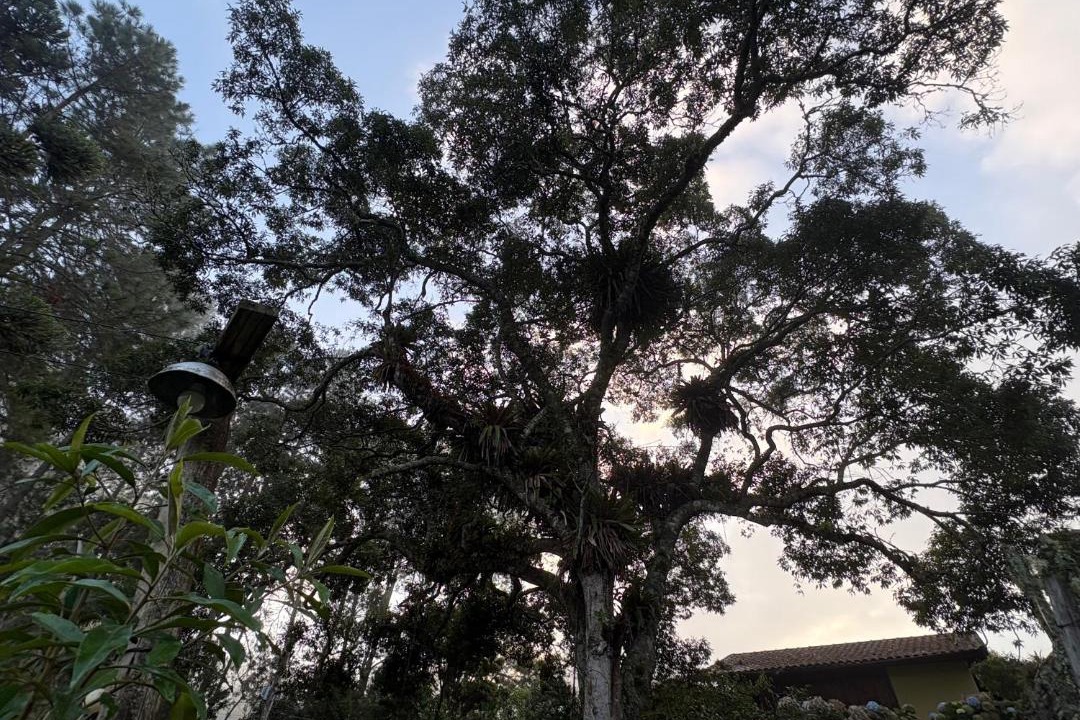 Photo of Outdoor in Cunha