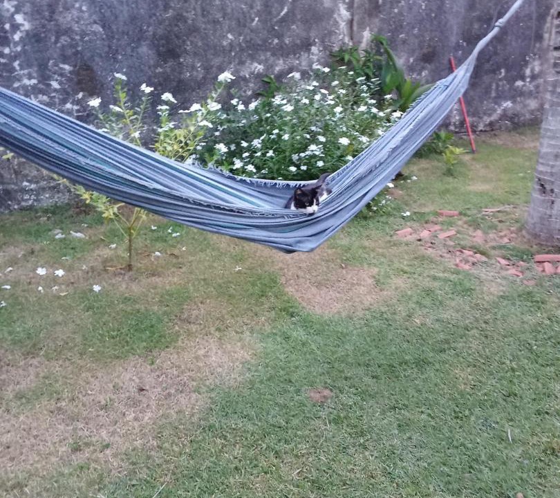Photo of Others in Sao Francisco