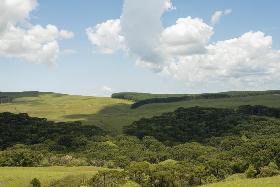 Photo of Others in Cambara do Sul