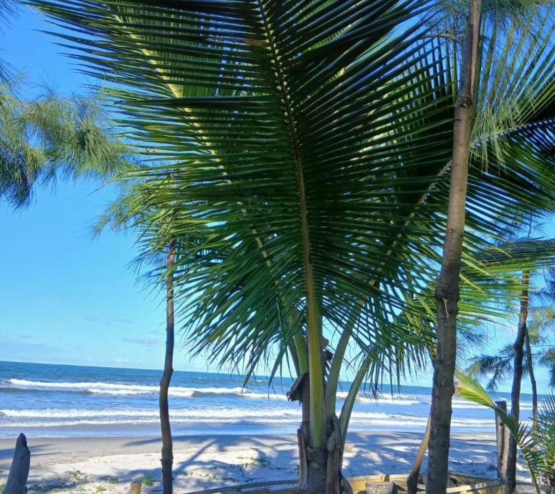 Photo of Others in Canavieiras