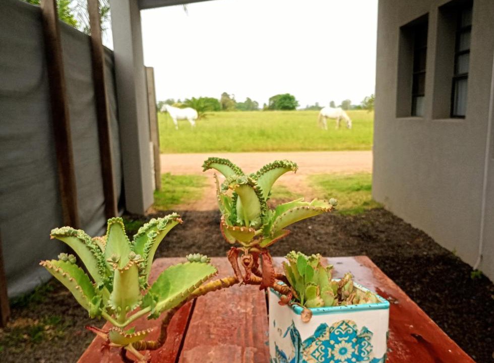 Photo of Others in Villa Elisa