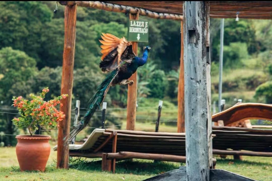 Photo of Others in Bonito
