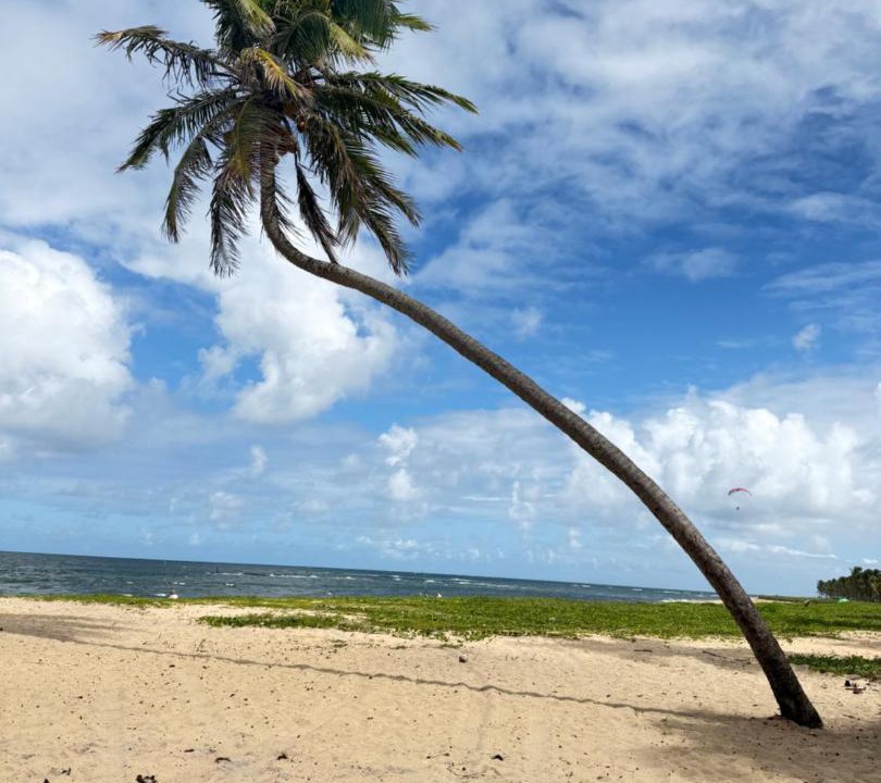 Photo of Others in Praia do Frances