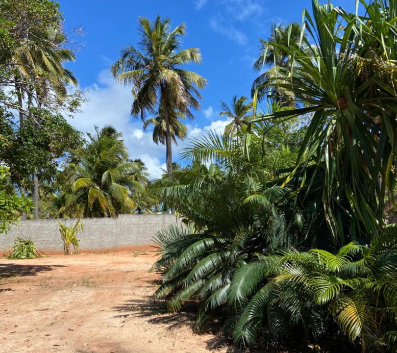 Photo of Others in Pontal do Peba