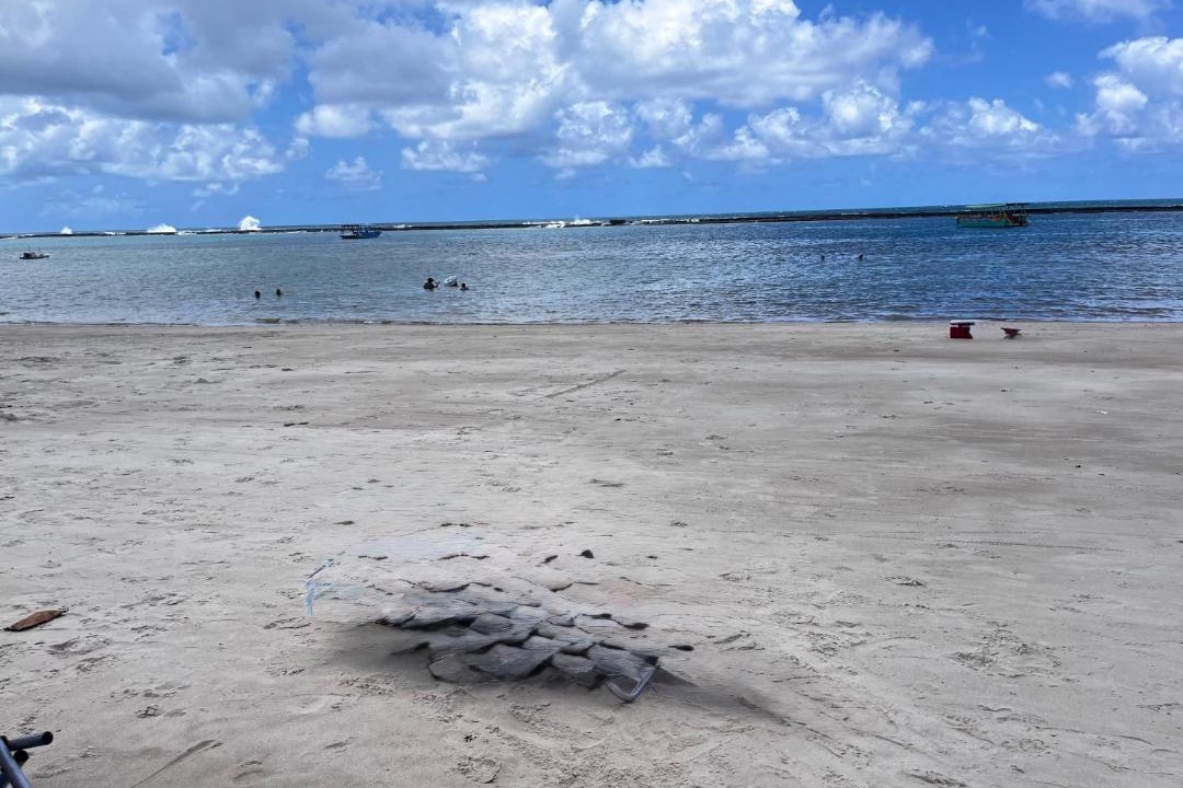 Photo of Others in Praia do Frances