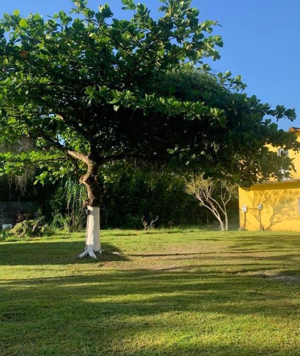 Photo of Others in Ilha Comprida