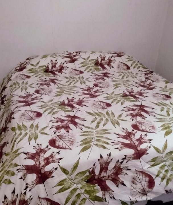 Photo of Bedroom in General San Martin